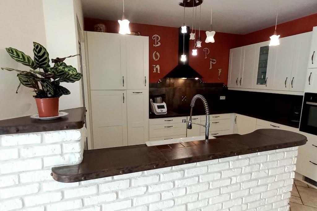 Villa 140 M² Hab. Avec Piscine Castres (Tarn) Exterior foto